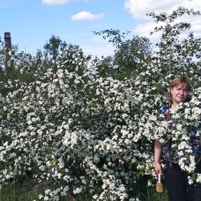 Фотография от Анна Кашпур