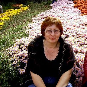 Фотография "Я на фоне цветущих хризантем"
