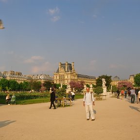 Фотография "Tuileries Garden near Louvre, Paris, France"