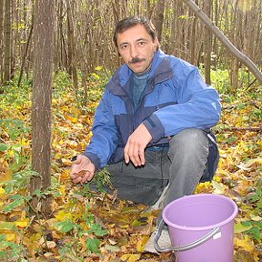 Фотография от Сергей Шилкин