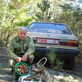 Фотография "Дары Беловежской пущи."