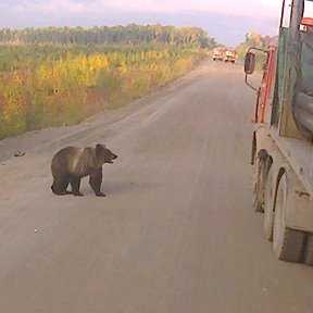 Фотография от Камиль Хамзин