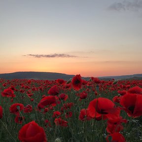 Фотография от Ольга Полунина