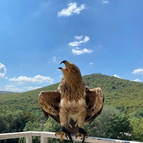 Фотография от Гульнара Закирова