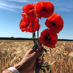 Фотография от Екатерина Коваленко