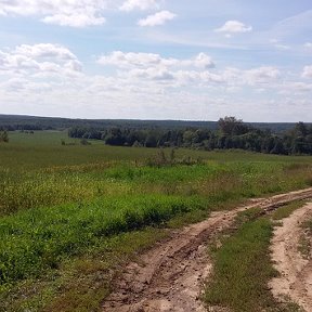 Фотография "Ну вот новый год наступил...теперь лето подавайте!"