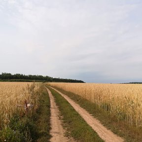 Фотография от Fedor Fedotov