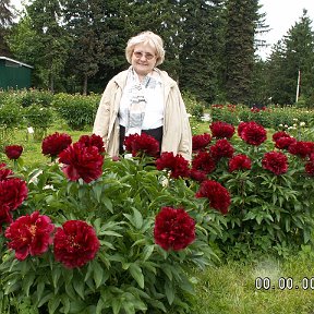 Фотография от ЕЛЕНА РЯБИНИНА (ГОНЧАРОВА