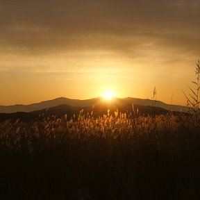 Фотография от Людмила Зайцева (Артюхова)