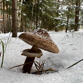 Фотография от Владимир Щербаков