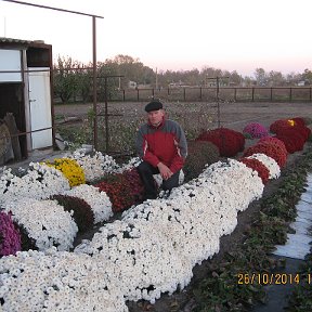 Фотография "КРАСОТА!!!с.Беленькое.Запорожской обл."