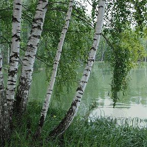 Фотография от Татьяна Николаева(Селезнева)