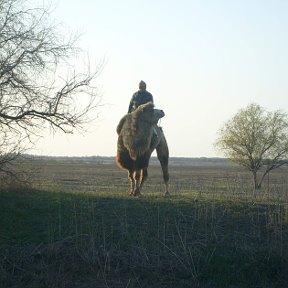 Фотография от бубль гум