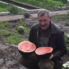 Фотография от Владимир Бородич