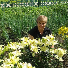 Фотография от Алла Авдевич (Стельмашок)