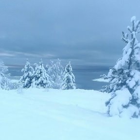 Фотография от женя алилуев