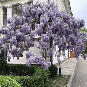 Фотография от Светлана Шортова