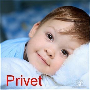 Фотография от PRİ VET