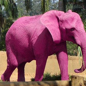 Фотография от Розовый Слон Туристическая компания