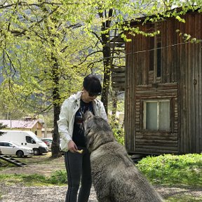 Фотография от Анюта Федорова