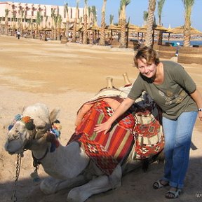 Фотография "Отпуск в ноябре 2006 (Египет)"