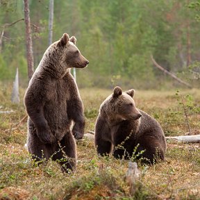 Фотография от Николай Спориш