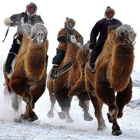 Фотография от Монголия в Норильске
