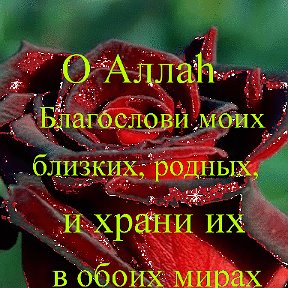 Фотография от Расита Замужем 💎💚🌹🌹🌹💚💎