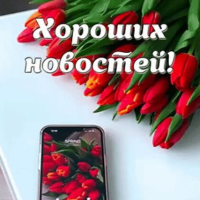 Фотография от Tatiana Александровна 💕🌺♥️