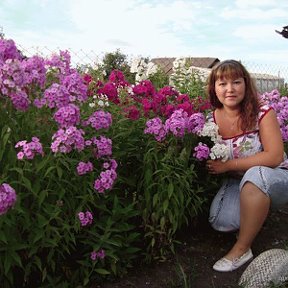 Фотография "flowers"