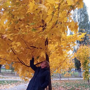 Фотография "Осень...осень...,ну давай у листьев спросим..."