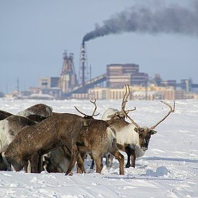 Фотография от Суворов Александр