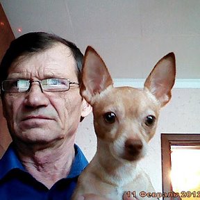 Фотография "Два пса-один старый, другой юный"