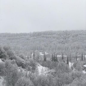 Фотография от Евгений Комаровский