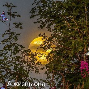 Фотография от Ирина Чернышёва (Суховеева )