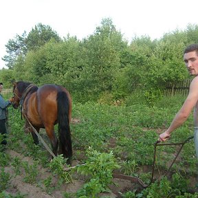 Фотография от Кирилл Горлачев