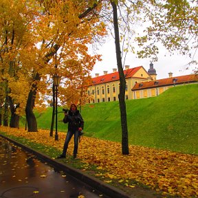 Фотография "Золотая осень Несвижский замок, Беларусь"