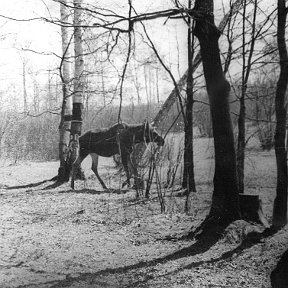 Фотография от геннадий рожин