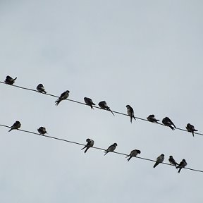 Фотография "Подходит к девичьей фамилии."