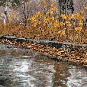 Фотография от ГАлина Полянских