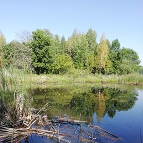 Фотография от Александр Колдунов