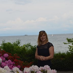 Фотография "Bodensee. Insel Mainau."