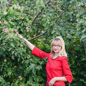 Фотография от Наталья Алешко (Анисова)