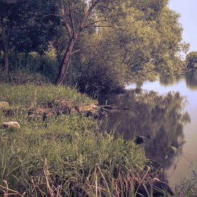 Фотография от Алена Берзина(Эрлих)