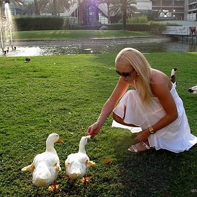 Фотография "Irish Village, Dubai"