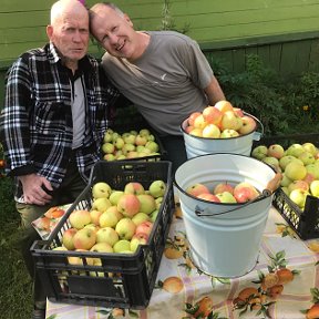 Фотография "Папу я люблю больше чем яблоки..."