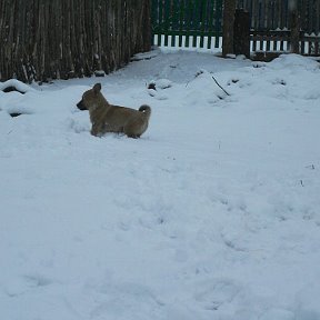 Фотография от Надежда Трумбетова