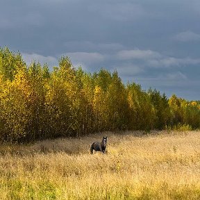 Фотография от Денис Черкасов