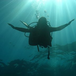 Фотография "Underwater"