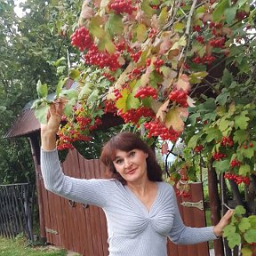 Фотография "Сентябрь нам подарил красные гроздья калины. Багряными оттенками запестрила листва деревьев. Так красиво начинается осень..."
